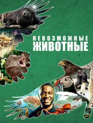 Невозможные животные