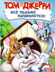 Кот играет в боулинг