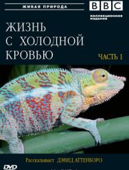 BBC: Жизнь с холодной кровью
