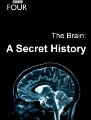 The Brain: A Secret History 1,2 сезон