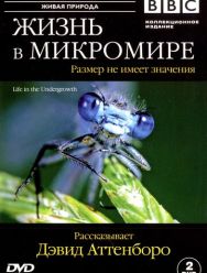 BBC: Жизнь в микромире