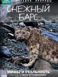 BBC: Снежный барс: Мифы и реальности