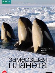 BBC: Замерзшая планета 1 сезон
