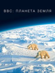 BBC: Планета Земля 2 сезон