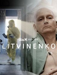 Литвиненко 1 сезон