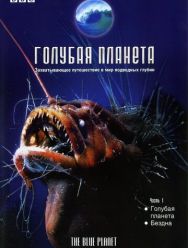 Голубая планета 1 сезон