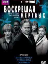 Воскрешая мертвых 8 сезон