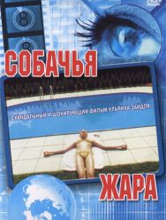 Собачья жара
