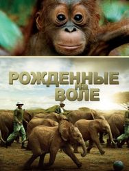 Рожденные на воле