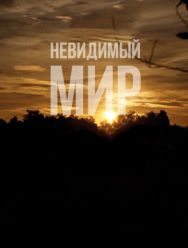 Невидимый мир
