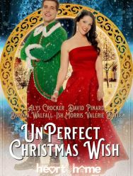 UnPerfect Christmas Wish