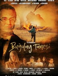 Bugday Tanesi