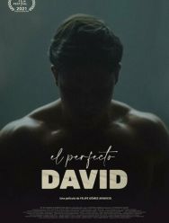 El perfecto David