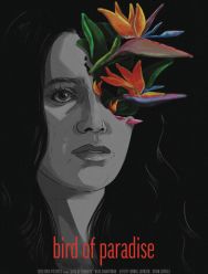 Bird of Paradise