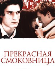 Прекрасная смоковница