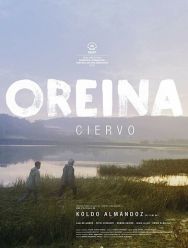 Oreina