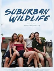 Suburban Wildlife